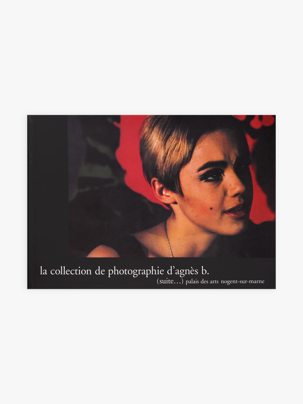 book The agnès b. photography collection (more...)
