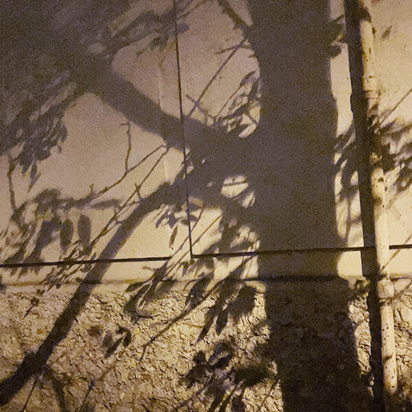 Photo by Agnès